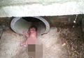 Kisah 'Ajaib' Bayi yang Dibuang ke Selokan dan Dirubung Semut Merah