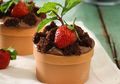 Wah, Seru Sekali Membuat Flower Choco Mousse Cake Bersama Keluarga!