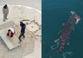 Foto Mengerikan ini Berhasil Tertangkap Kamera Drone Dari Ketinggian