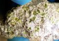 Keren! Meteorit Kristal Ini Berusia Lebih Tua daripada Tata Surya