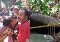 Hasni Disembunyikan di Balik Batu Selama 15 Tahun oleh Dukun, Kok Tidak Ada Warga yang Tahu?