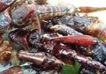 Serangga Ini Dapat Dimakan, lo! Tertarik Mencobanya?
