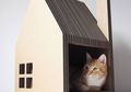 Krabhuis, Rumah yang Nyaman dan Aman untuk Kucing