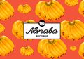 4,5 Tahun Mewarnai Musik Indonesia, Nanaba Records Resmi Tutup
