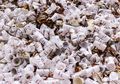 Zero Waste, Cara Asyik untuk Menjaga Bumi dari Sampah Plastik!
