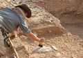 Bukan Perang atau Kelaparan, Justru Kemalasanlah yang Diklaim Sebabkan Homo Erectus Punah