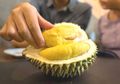 Penderita Diabetes Boleh Konsumsi Durian, Ini Triknya Menurut Ahli!