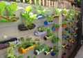 Miliki Kebun Sendiri di Rumah dan Penuhi Kebutuhan Sayurmu, Intip 5 Tips Membuatnya!