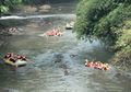 Ajak Rawat Sungai, Komunitas Ini akan Adakan Upacara 17 Agustus di Ciliwung