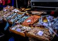 Ikan Laut dan Ikan Air Tawar, Mana yang Lebih Bergizi?