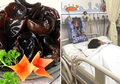 Karena Makan Jamur Kuping Hitam, Gadis Cilik Ini Alami Kerusakan Organ! Ini Alasannya