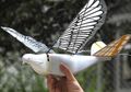 Tiongkok Luncurkan Drone Berbentuk Burung Untuk Mengawasi Warganya
