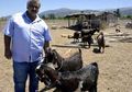 Klub Sepakbola di Turki Jual 18 Pemainnya untuk Beli 10 Ekor Kambing, Ini Alasannya