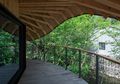 Rumah Pohon di Cina ini Punya Atap yang Tidak Biasa, Tengok Yuk!