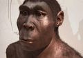 Klaim yang Menyebut Malas sebagai Penyebab Homo Erestus Punah adalah 'Bodoh'