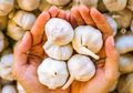 Ingin Punya Kuku yang Kokoh nan Cantik, Celupkan Tangan Anda dalam Air Rendaman Bawang Putih