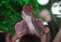 Jujur, Bikin Pelajar SMA Ini Ketemu Maroon 5 dan Diviralkan!