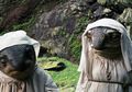8 Info Penting Mengenai Star Wars: Episode IX yang Harus Kamu Ketahui!