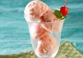 Haus Pasti Langsung Hilang Seketika dengan Kesegaran dari Sorbet Jambu Biji