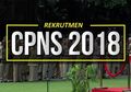 Seleksi CPNS Resmi Dibuka 19 September 2018, Ini Dokumen Persyaratan yang Harus Disiapkan