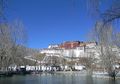 Yuk, Kita Berkunjung ke Potala Palace, Istana Tertinggi di Dunia
