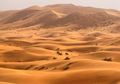 Para Ilmuwan Ingin Hijaukan Gurun Sahara yang Gersang, Bagaimana Caranya?