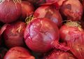Moms, Coba Kunyah Bawang Merah Setiap Hari dan Rasakan Manfaat Ini