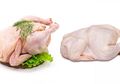 Daging Ayam Broiler Lebih Pucat dari Ayam Kampung, ini Penyebabnya