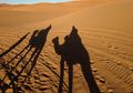 Membuat Tumbuh-tumbuhan Hidup di Gurun Sahara? Ilmuwan Tahu Caranya