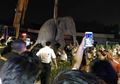 Tragis, Seekor Gajah Tewas Tersetrum Saat Diajak Pemiliknya Mengemis Di Jalanan