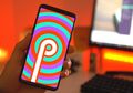 Ponsel Lawas Xiaomi MI A1 Dikonfirmasi Mendapat Update Android 9.0 Pie