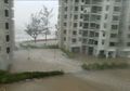 Musim Hujan Tiba, Lakukan Hal Ini Sebelum dan Bila Banjir Datang!