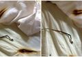 Bahaya! Stop Charge Ponsel di Tempat Tidur Jika Tak Ingin Ini Terjadi