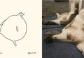Meski Digambar dengan Sederhana, Kucing-Kucing Ini Tetap Terlihat Lucu