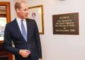 Teruskan Perjuangan Putri Diana, Ini yang Dilakukan Pangeran William