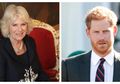 Ibu Tirinya Adakan Pesta, Pangeran Harry Dikabarkan Tak Akan Hadir di Sana