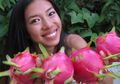 DIY Masker Buah Naga Untuk Memutihkan Kulit Wajah dan Melawan Tanda Penuaan Dini