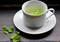 Minum Air Infus Peterseli 2 Gelas Sehari, Ginjal pun akan Terselamatkan dari Beberapa Penyakit