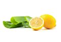 Rambut Panjang dengan Cepat, yuk Bikin Masker Rambut dari Lemon dan Gel Aloe Vera!