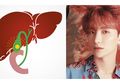 Jangan Abaikan Gejala Radang Empedu Seperti Dialami Leeteuk 'Suju', Mirip Sakit Maag