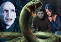 Ada Sosok Nagini di Trailer Fantastic Beasts 2, Ini Rahasia JK Rowling yang Disembunyikan Selama 20 Tahun