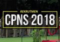 Bukan Kemenkeu, Ternyata 5 Instansi Ini yang Paling Banyak Peminatnya di Situs SSCN BKN!