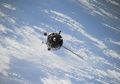 Cacing-cacing dari Bumi Akan Jadi Astronaut di Ruang Angkasa!