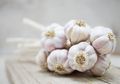 Salah Kaprah Penggunaan Bawang Putih Sebagai Obat Jerawat, Ini Penjelasannya!