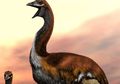 Penglihatan Burung Terbesar Sepanjang Sejarah Ini Ternyata Buruk, lo!