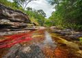 Wah, Sungai Ini Punya 5 Warna! Dari Mana Asal Warna-warni Itu?