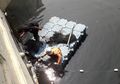Ada 3 Buaya di Kali Anak Ciliwung, Salah Satunya Diduga Merupakan Buaya Langka