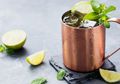 Inilah 5 Manfaat Minum Pakai Cangkir Tembaga, Bisa Kurangi Resiko Kanker!