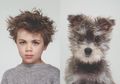 Unik! Seorang Fotografer Hewan Memotret Kemiripan Anjing dan Pemiliknya