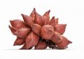 Moms, Ternyata Salak Juga Bisa Ampuh untuk Kesehatan Jantung